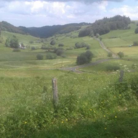 Chalet En Pleine Nature Pour 12 Personnes ベス・エ・サンタナステーズ エクステリア 写真